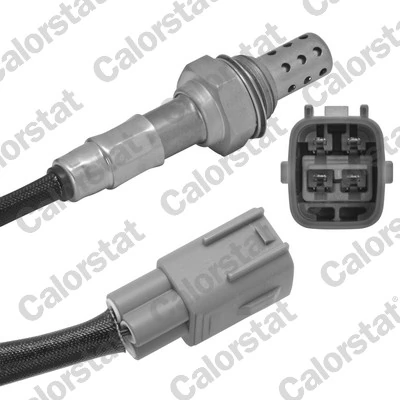 Oxygen Sensor